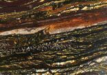 Polished Tiger Iron Stromatolite - ( Billion Years) #38915-1